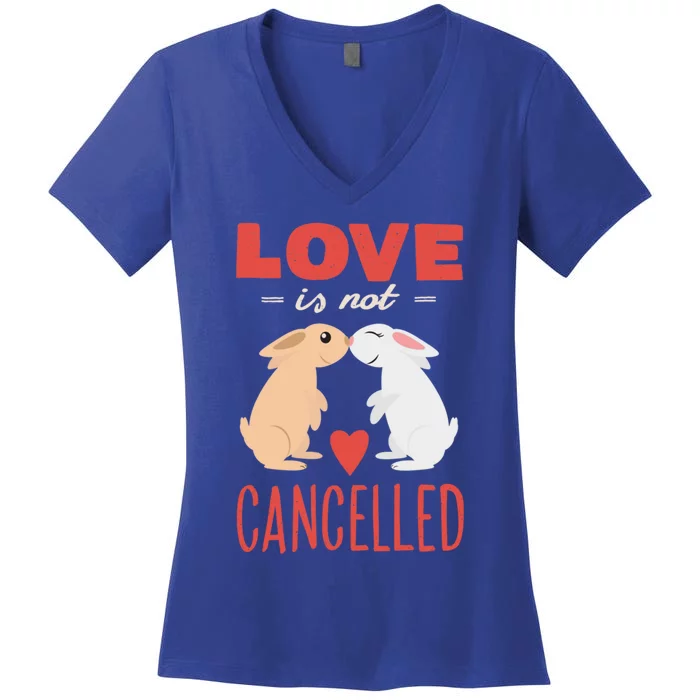 Cuddly Rabbits Gift Big Love Is Not Callnised Cute Gift Women's V-Neck T-Shirt