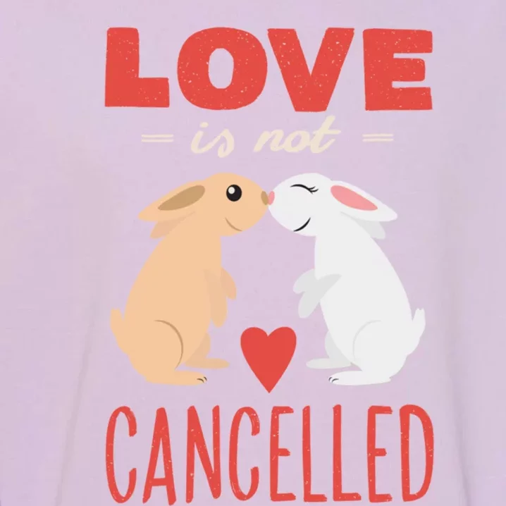 Cuddly Rabbits Gift Big Love Is Not Callnised Cute Gift Garment-Dyed Sweatshirt