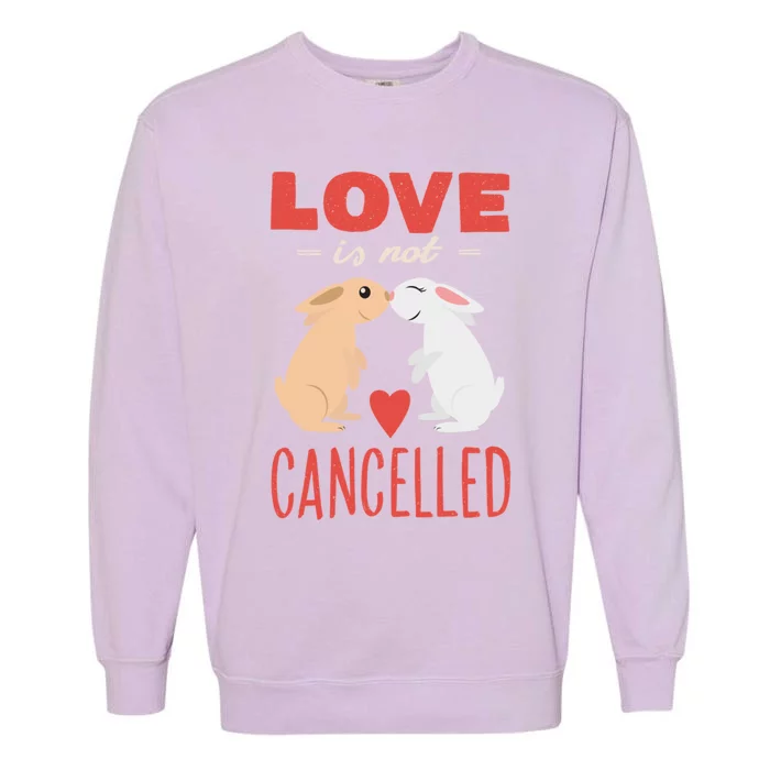 Cuddly Rabbits Gift Big Love Is Not Callnised Cute Gift Garment-Dyed Sweatshirt