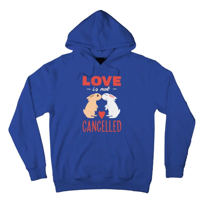 Cuddly Rabbits Gift Big Love Is Not Callnised Gift Tall Hoodie