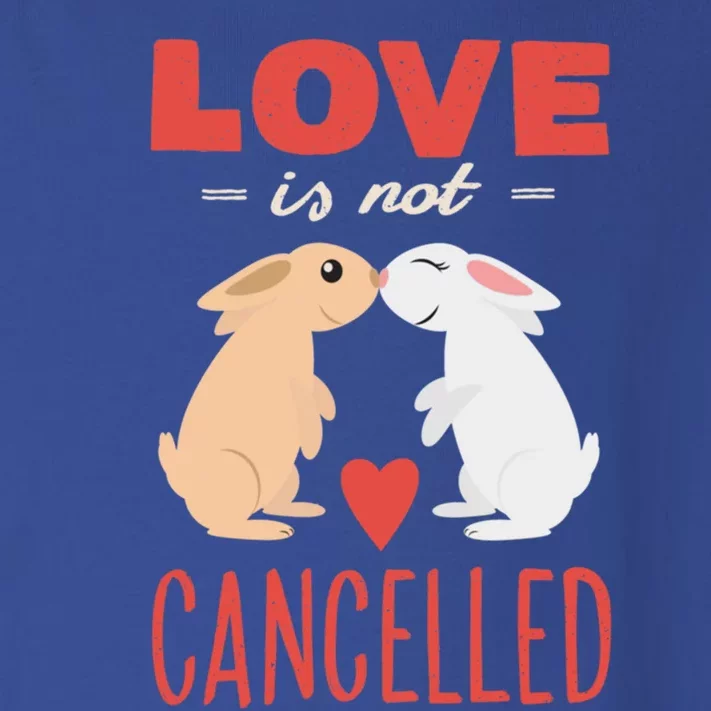 Cuddly Rabbits Gift Big Love Is Not Callnised Gift Toddler Long Sleeve Shirt