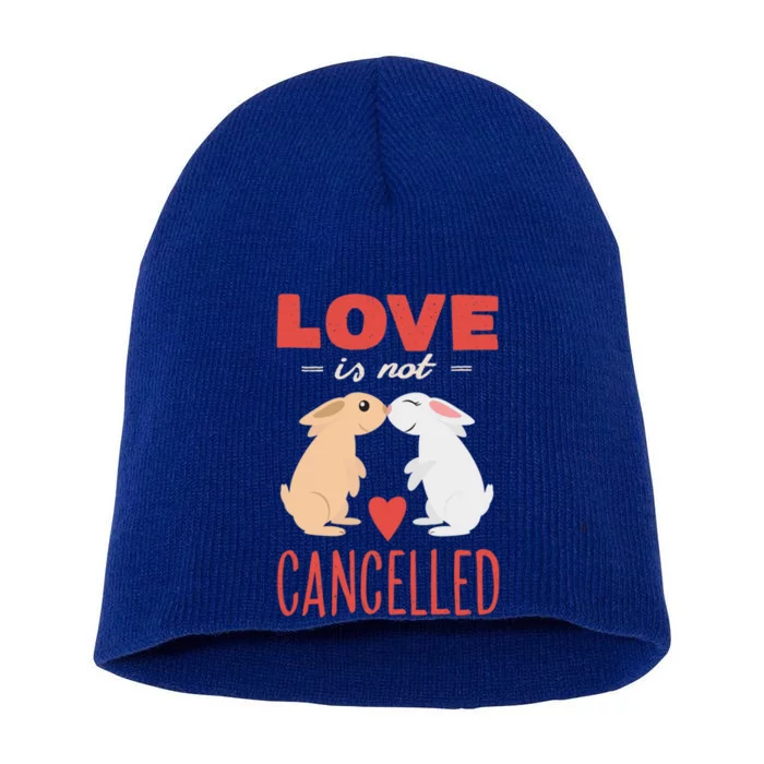 Cuddly Rabbits Gift Big Love Is Not Callnised Gift Short Acrylic Beanie