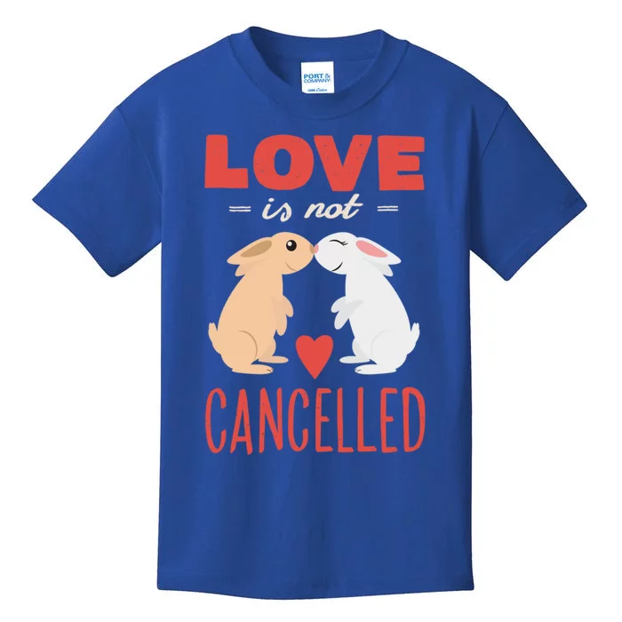 Cuddly Rabbits Gift Big Love Is Not Callnised Gift Kids T-Shirt