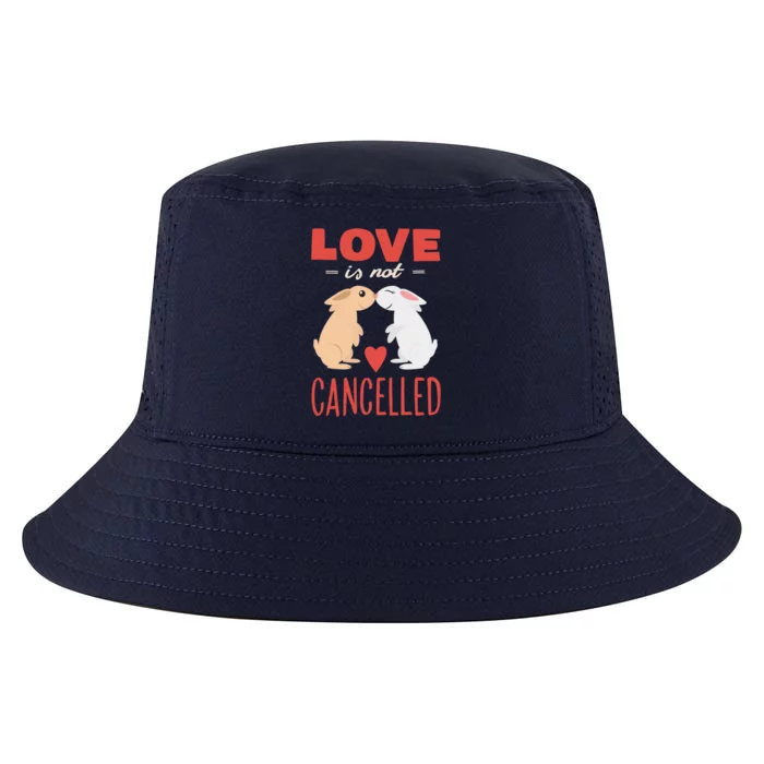 Cuddly Rabbits Gift Big Love Is Not Callnised Gift Cool Comfort Performance Bucket Hat