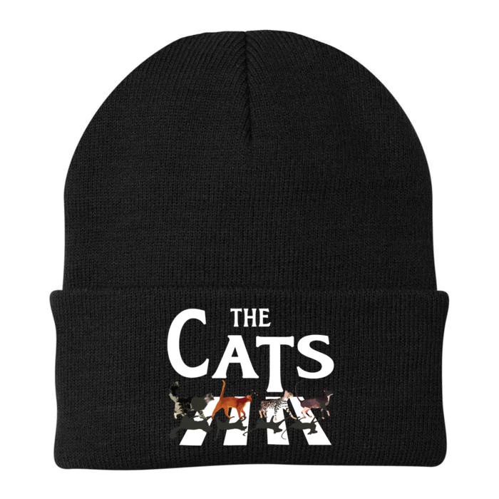 Cat Rock Music Funny Cat Lover Gifts Knit Cap Winter Beanie