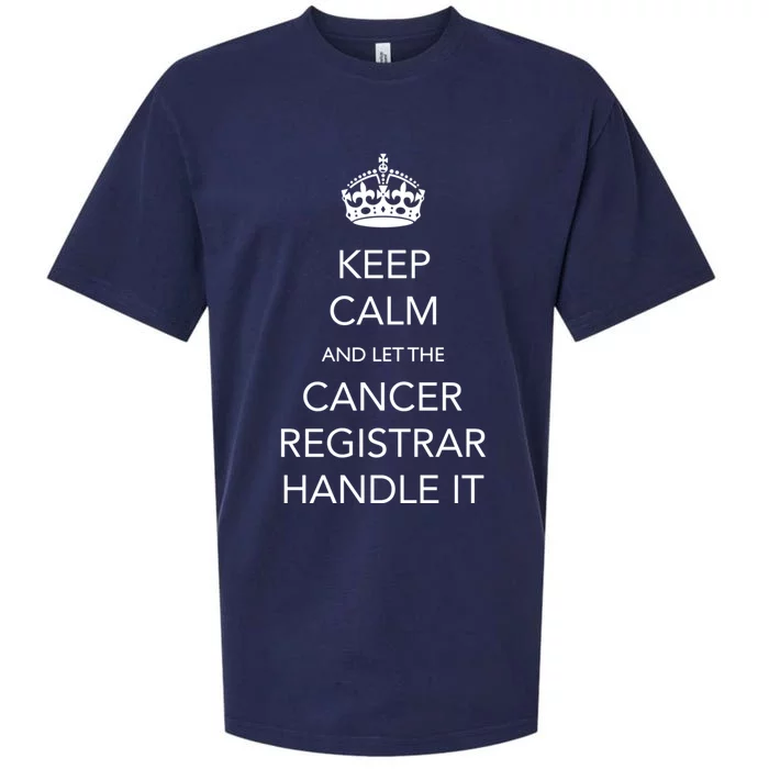 Cancer Registrar National Cancer Registrars Week Gift Sueded Cloud Jersey T-Shirt