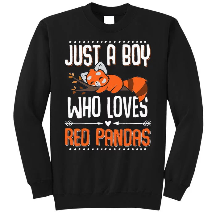 Cute Red Panda Red Panda Tall Sweatshirt