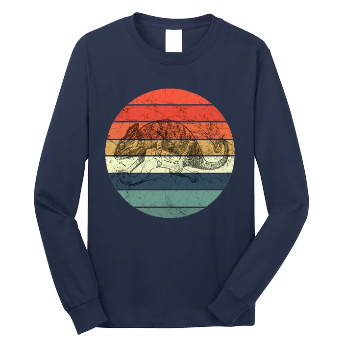 Chameleon Retro Vintage Sunset Long Sleeve Shirt