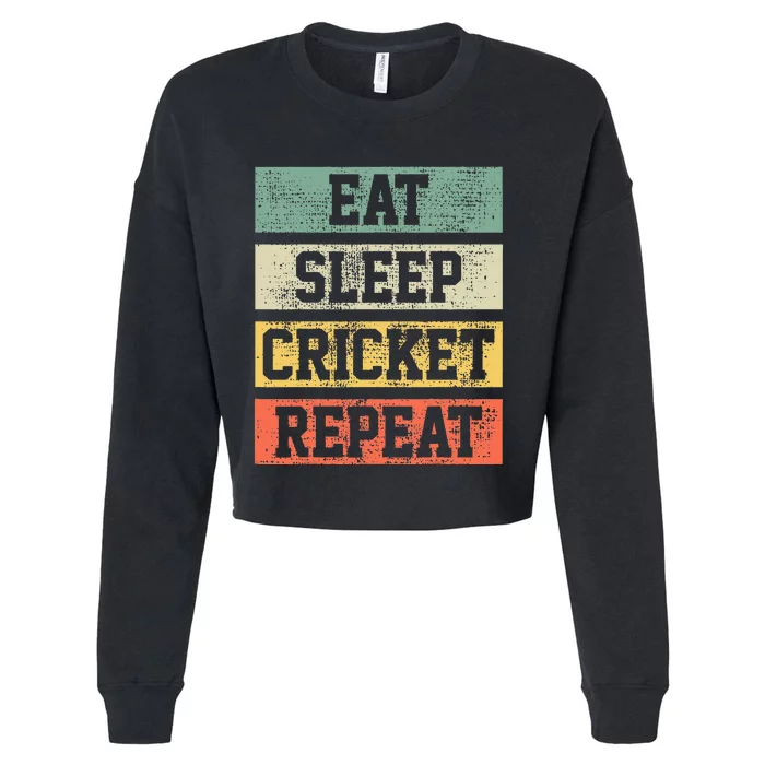 Cricket Retro Vintage Player Coach Gift Cropped Pullover Crew