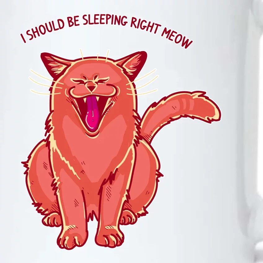 Crying Cat I should Be Sleeping Black Color Changing Mug