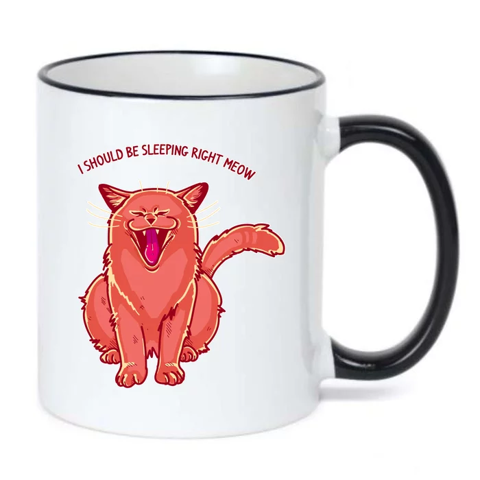 Crying Cat I should Be Sleeping Black Color Changing Mug