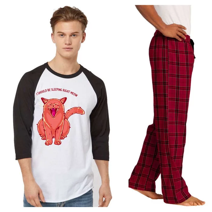 Crying Cat I should Be Sleeping Raglan Sleeve Pajama Set