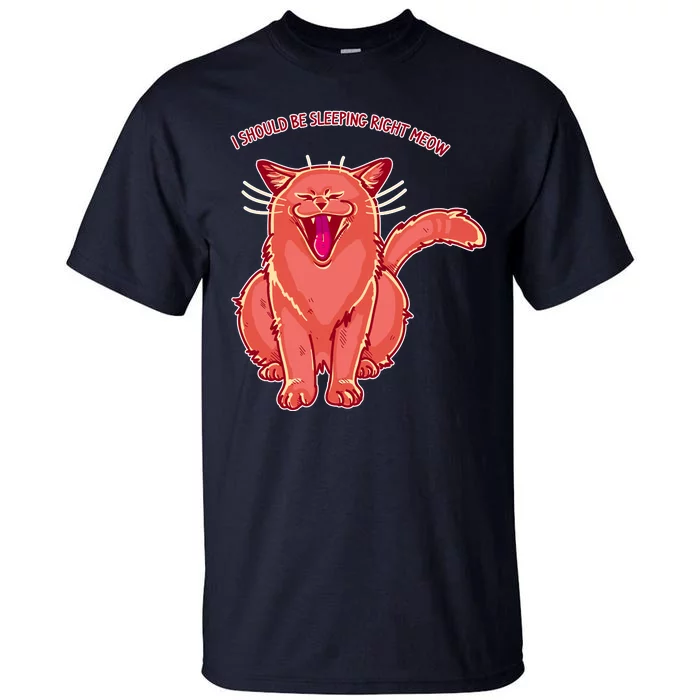 Crying Cat I should Be Sleeping Tall T-Shirt