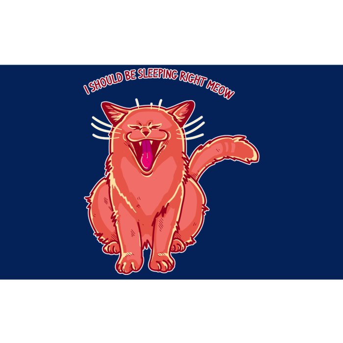 Crying Cat I should Be Sleeping Bumper Sticker