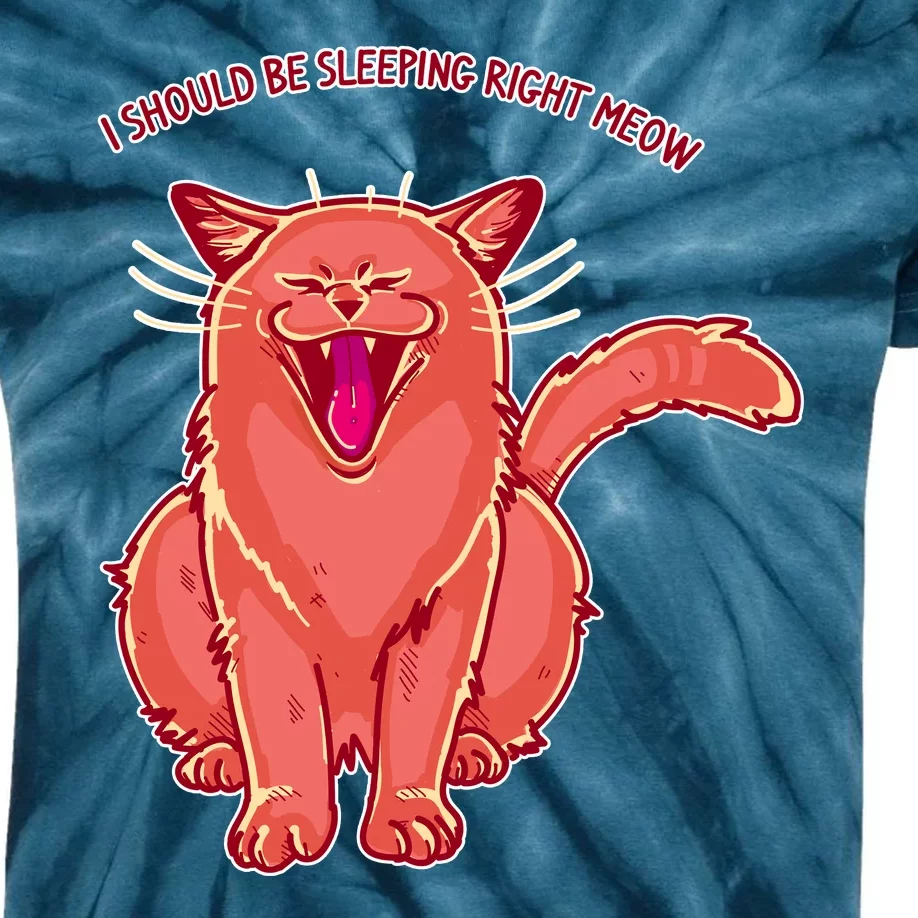 Crying Cat I should Be Sleeping Kids Tie-Dye T-Shirt