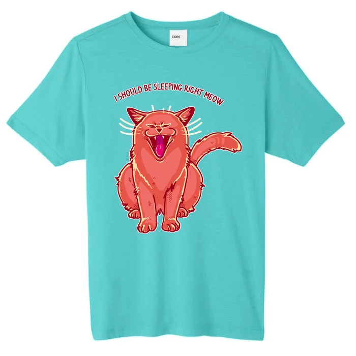 Crying Cat I should Be Sleeping ChromaSoft Performance T-Shirt