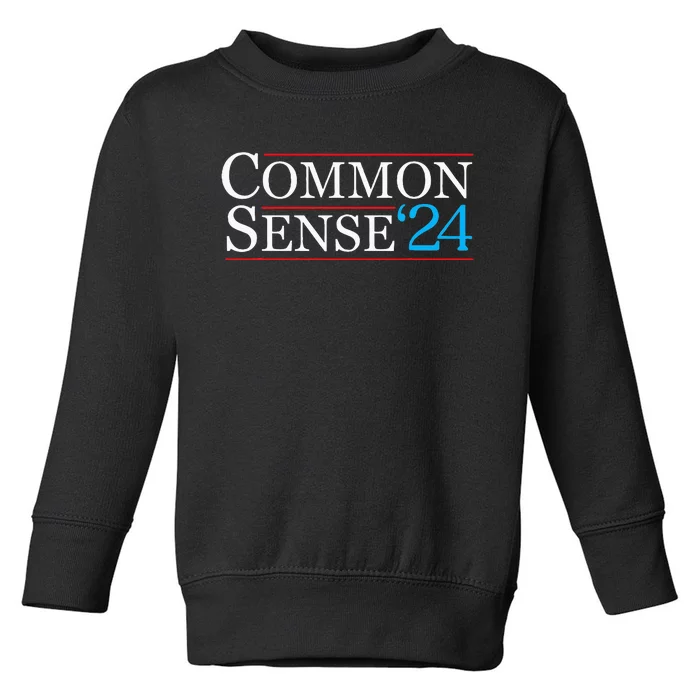 Common Sense 2024 Funny Political Election Sarcastic Toddler Sweatshirt