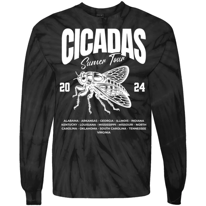 Cicada Summer 2024 Double Emergence Bug Humor Tie-Dye Long Sleeve Shirt