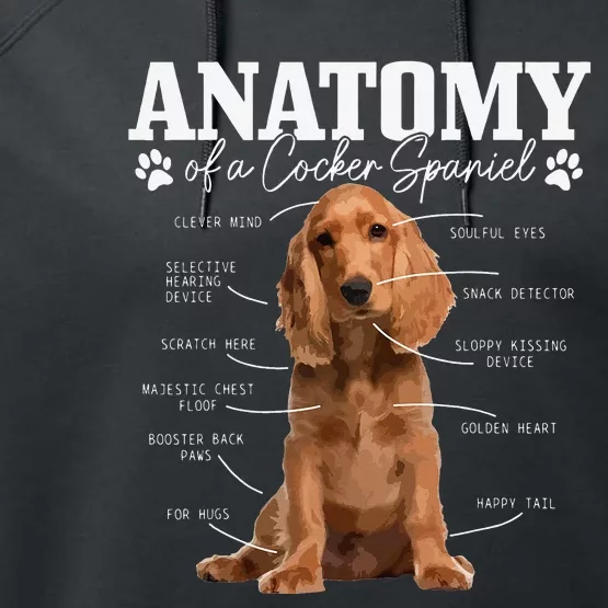 Cocker Spaniel Anatomy Funny Cute Dog Cocker Spaniel Mom Dad Performance Fleece Hoodie