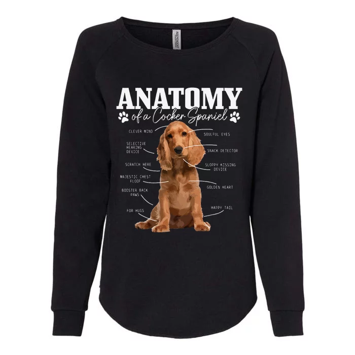 Cocker Spaniel Anatomy Funny Cute Dog Cocker Spaniel Mom Dad Womens California Wash Sweatshirt