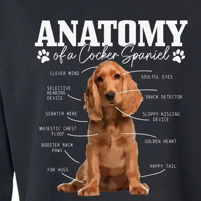 Cocker Spaniel Anatomy Funny Cute Dog Cocker Spaniel Mom Dad Cropped Pullover Crew