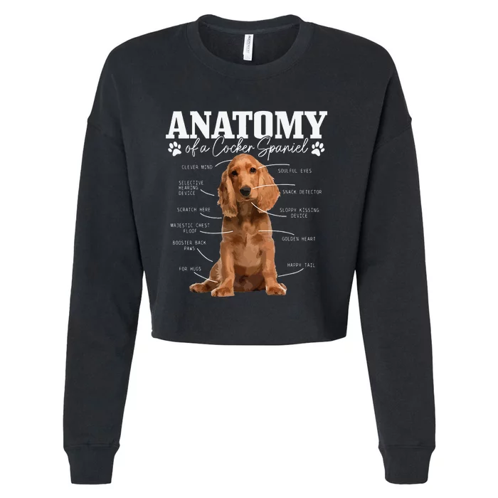 Cocker Spaniel Anatomy Funny Cute Dog Cocker Spaniel Mom Dad Cropped Pullover Crew