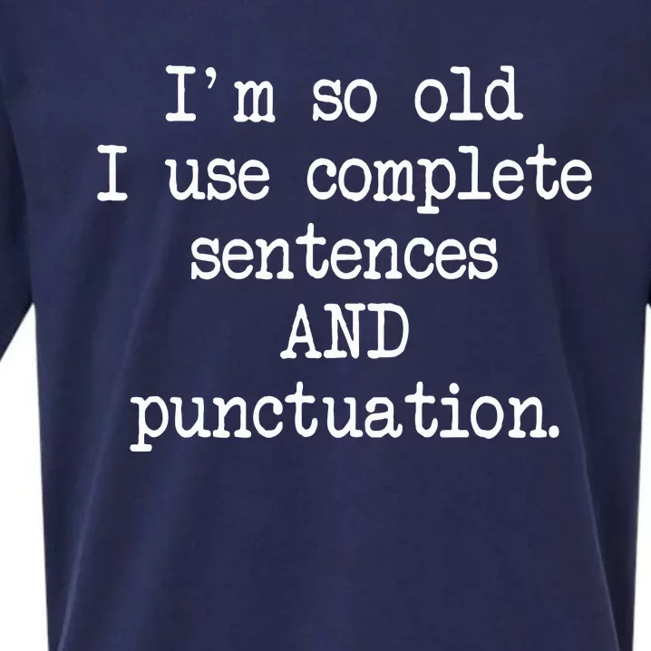 Complete Sentences And Punctuation Grammar Sueded Cloud Jersey T-Shirt