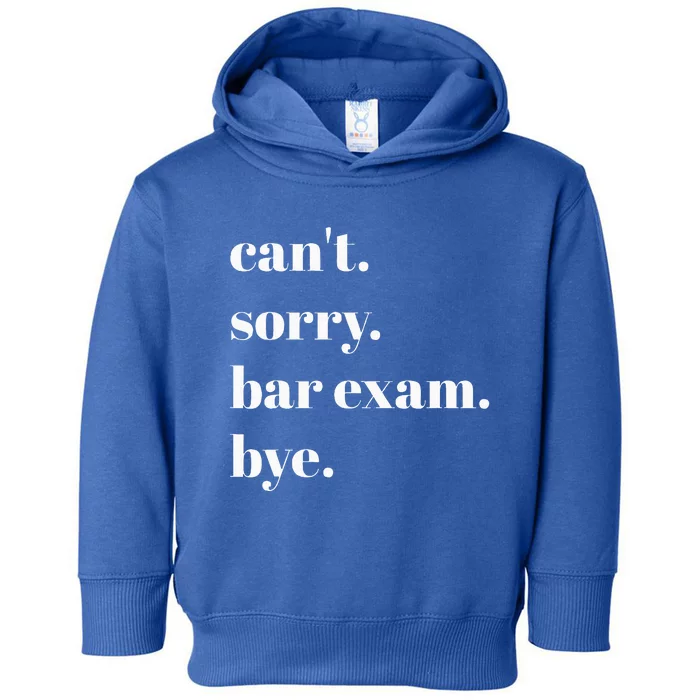 CanT Sorry Bar Exam Bye Toddler Hoodie