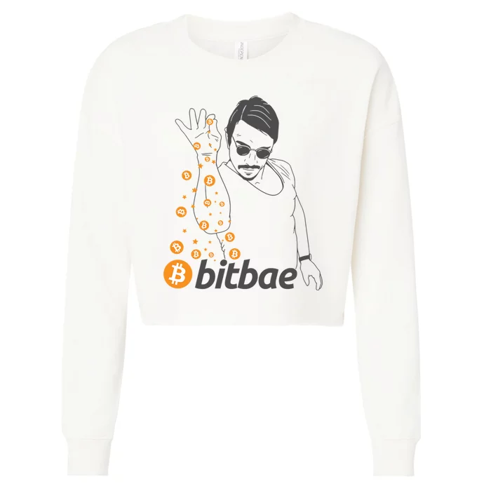 Crypto Salt Bae Bitcoin Cropped Pullover Crew