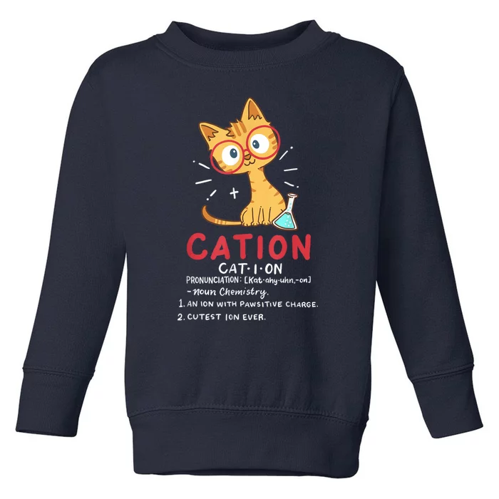 Cation Science Cat Funny Chemistry Chemist Science Teacher Toddler Sweatshirt