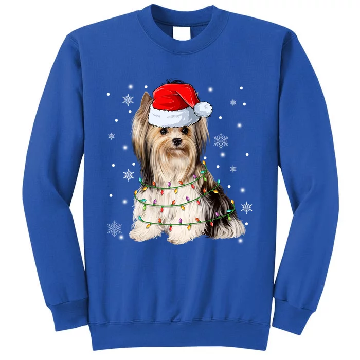 Cute Santa Claus Yorkie Dog Xmas Tree Lights Christmas Pjs Cute Gift Tall Sweatshirt