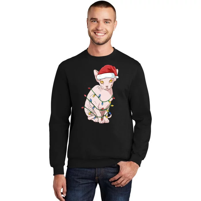 Christmas Sphynx Cat Tall Sweatshirt