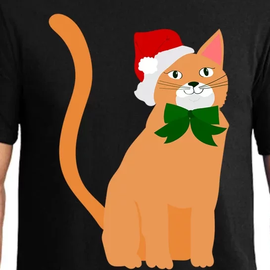 Christmas Santa Claus Hat Orange Cat Great Gift Pajama Set