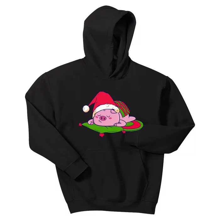 Cute Sleepy Christmas Pig Kids Hoodie