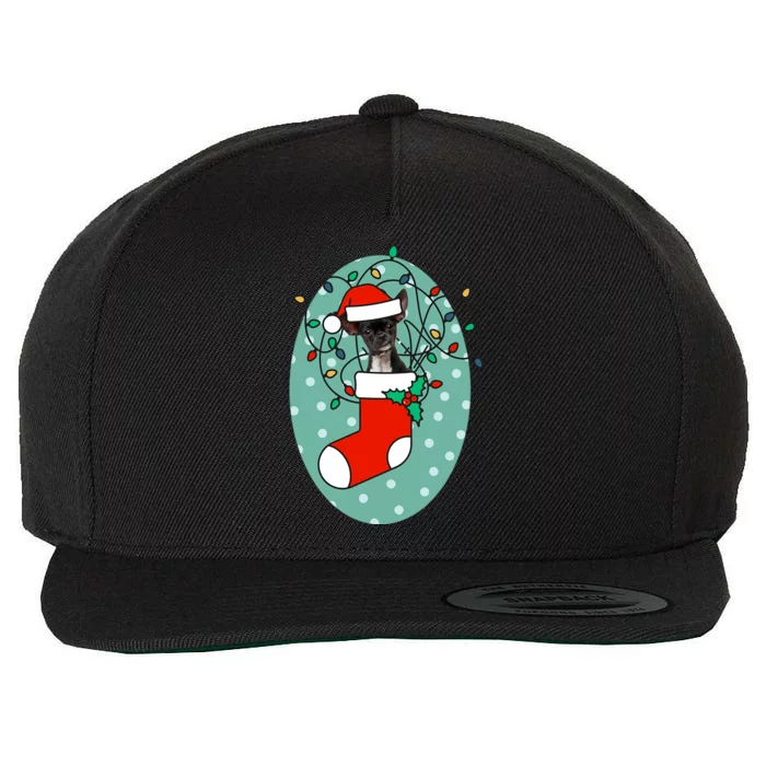 Christmas Stocking Dog Chihuahua Gift Wool Snapback Cap