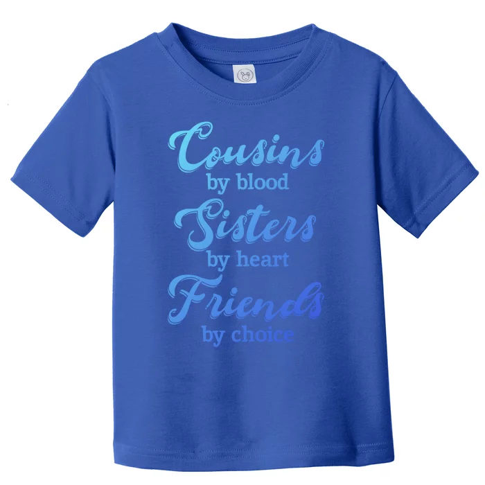 Cousins Sisters Friends Relatives Family Niece Aunt Uncle Cute Gift Toddler T-Shirt