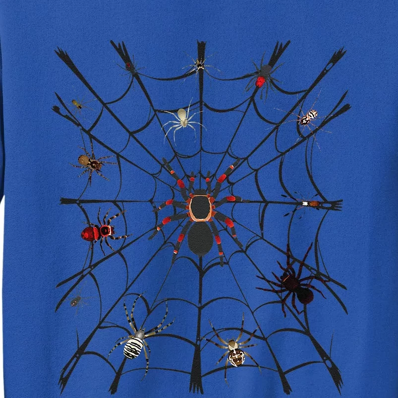 Cool Spider For Funny Funny Arachnid Spooky Scary Halloween Tall Sweatshirt