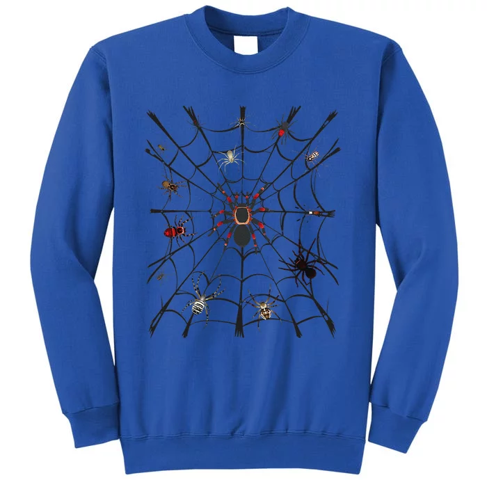 Cool Spider For Funny Funny Arachnid Spooky Scary Halloween Tall Sweatshirt