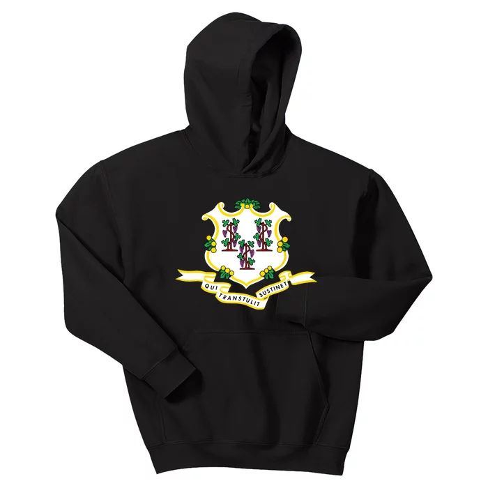 Connecticut State Flag Kids Hoodie