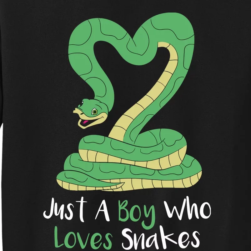 Cute Snake Gift Girl Boy Boa Constrictor Tall Sweatshirt