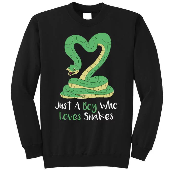 Cute Snake Gift Girl Boy Boa Constrictor Tall Sweatshirt