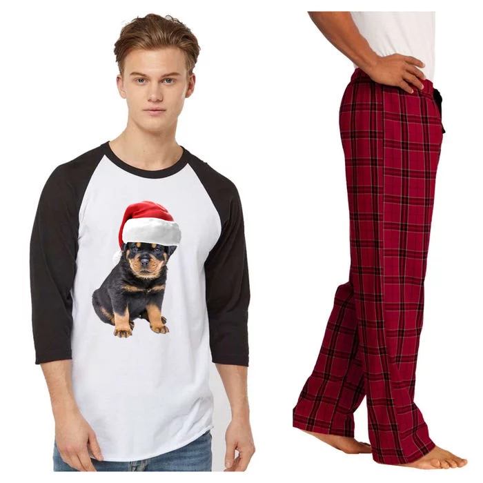 Christmas Santa Hat Rottweiler Gift Raglan Sleeve Pajama Set