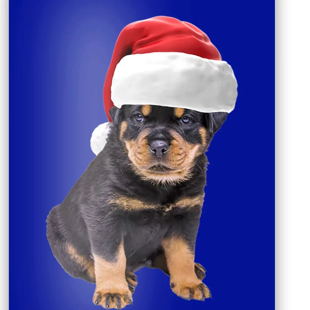 Christmas Santa Hat Rottweiler Gift Poster