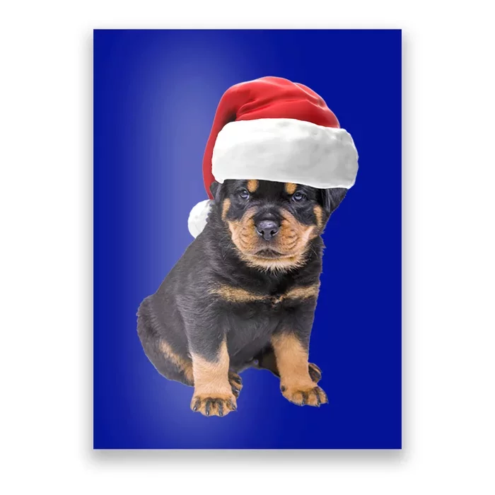 Christmas Santa Hat Rottweiler Gift Poster