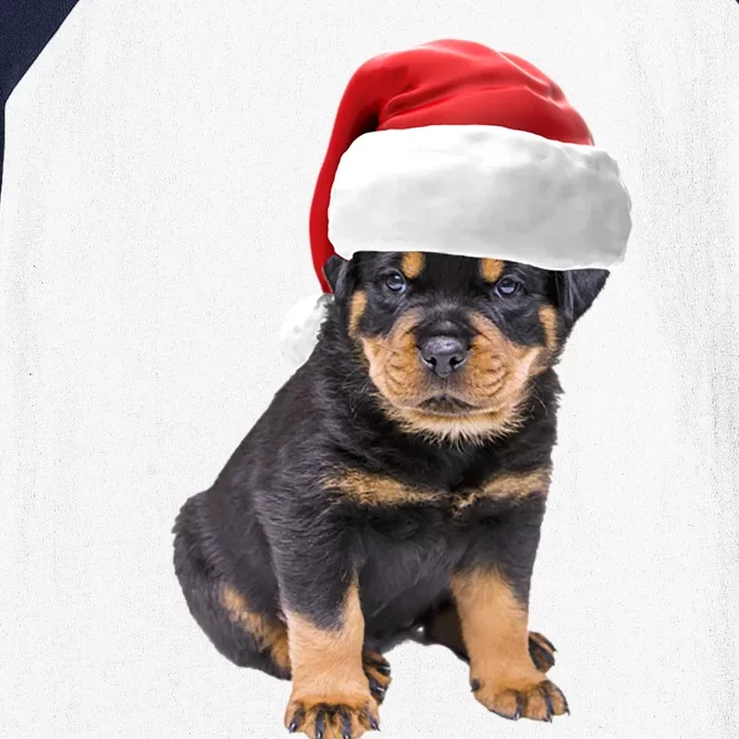 Christmas Santa Hat Rottweiler Gift Baseball Sleeve Shirt