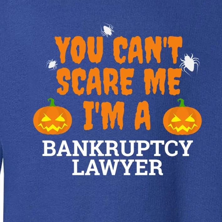 CanT Scare Me Bankruptcy Lawyer Scary Attorney Halloween Meaningful Gift Toddler Sweatshirt