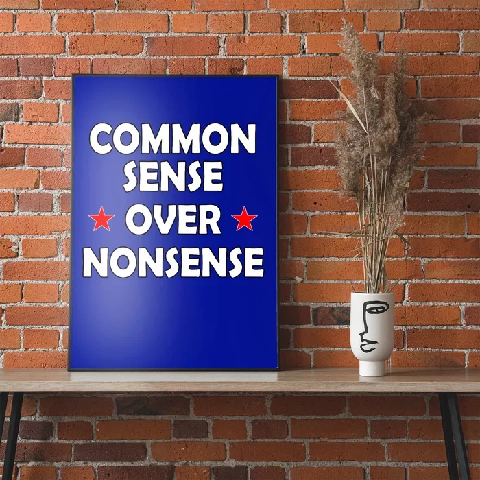 Common Sense Over Nonsense American Election Designs Poster