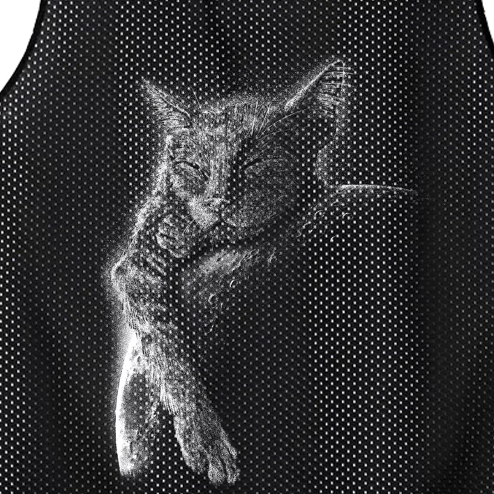 Cat Sleeping On The Moon Sketch Mesh Reversible Basketball Jersey Tank