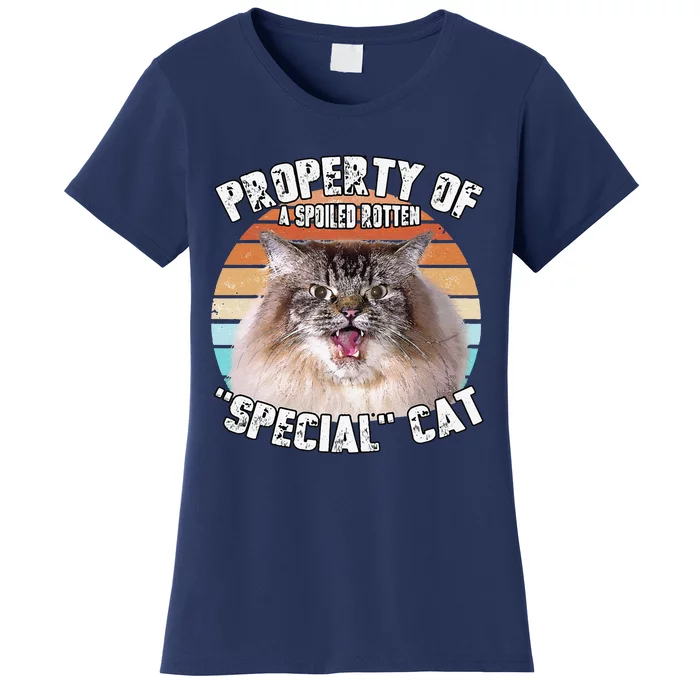 Cat Special Property Vintage Eighties Style Cat Retro Gift Cute Dog Women's T-Shirt