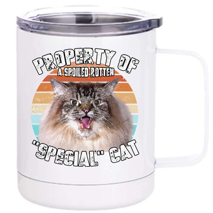 Cat Special Property Vintage Eighties Style Cat Retro Gift Cute Dog Front & Back 12oz Stainless Steel Tumbler Cup